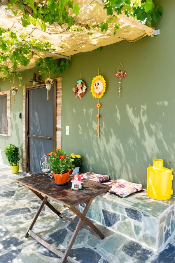 Valena'S House Apartment อิโออันนินา ภายนอก รูปภาพ